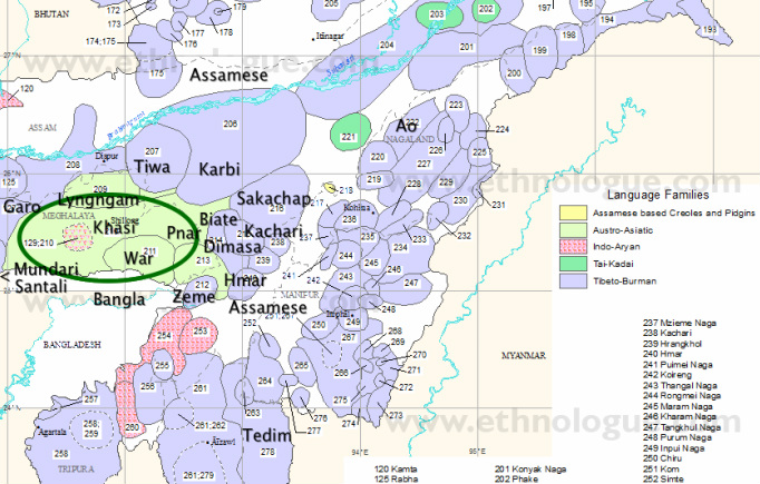 Some Northeast India Language Families